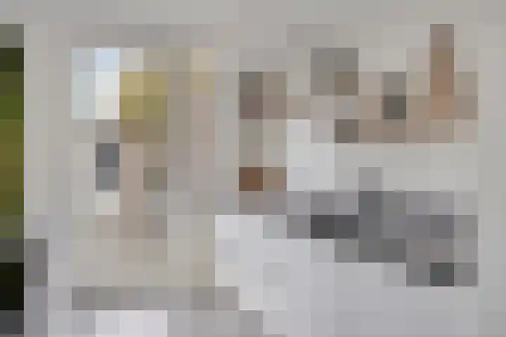 Boekweitstraat 10 Maarheeze thumbnail 20