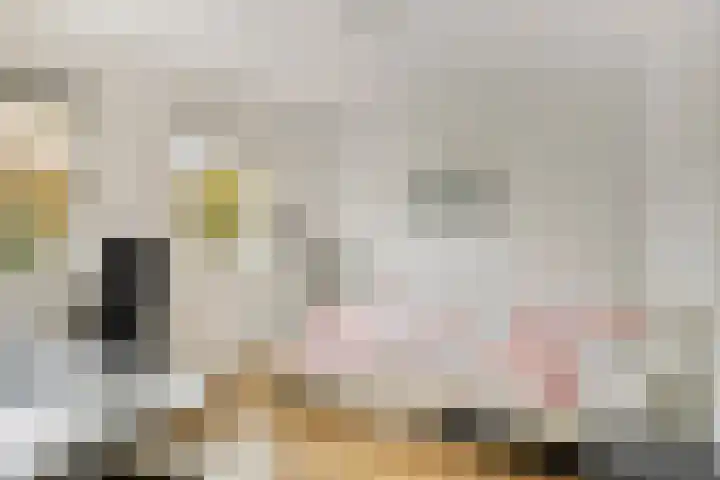 Boekweitstraat 10 Maarheeze thumbnail 30