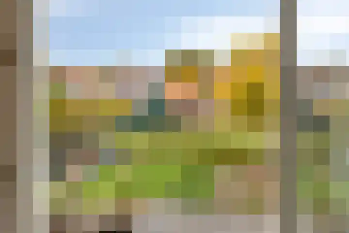 Boekweitstraat 10 Maarheeze thumbnail 34