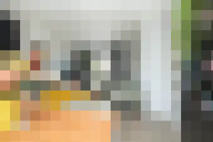 Boekweitstraat 3 Zuidwolde thumbnail 10