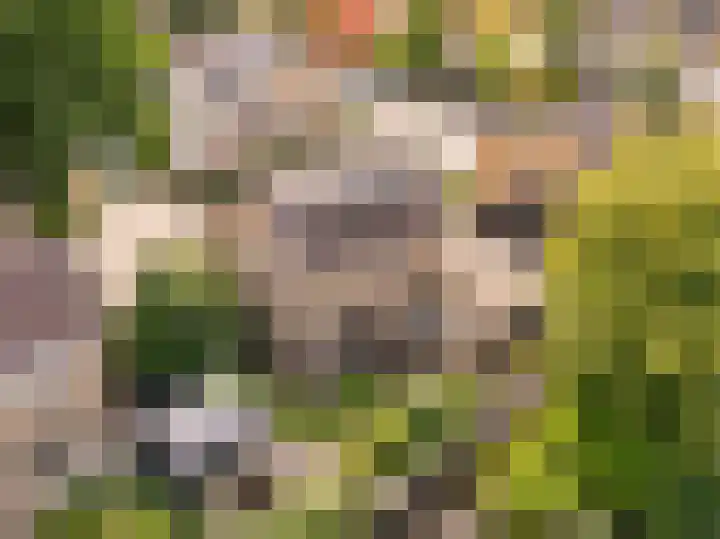 Boekweitstraat 3 Zuidwolde thumbnail 5