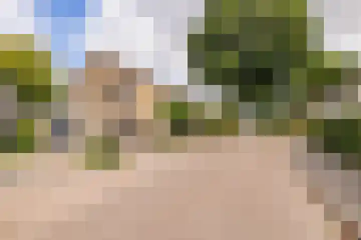 Boekweitstraat 3 Zuidwolde thumbnail 63