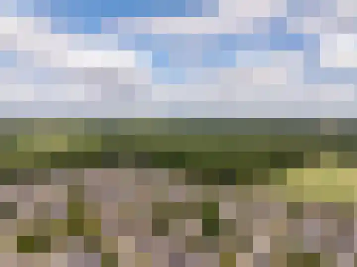 Boekweitstraat 3 Zuidwolde thumbnail 64