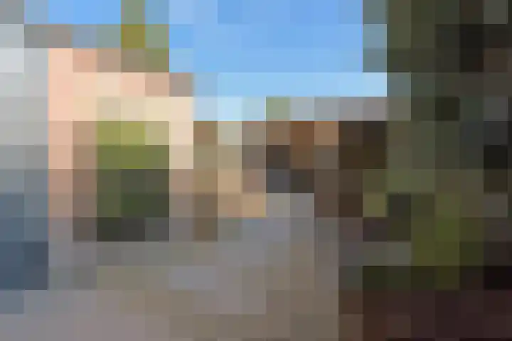 Boekweitstraat 38 Putten thumbnail 25