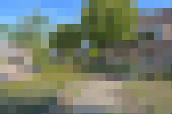 Boekweitstraat 38 Putten thumbnail 28