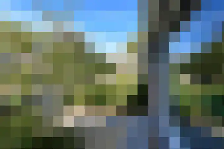 Boekweitstraat 38 Putten thumbnail 29