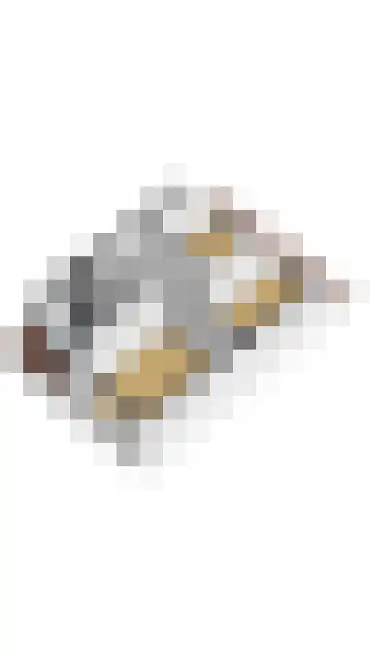 Boekweitstraat 38 Putten thumbnail 36