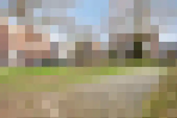 Boekweitstraat 4 Nuland thumbnail 31