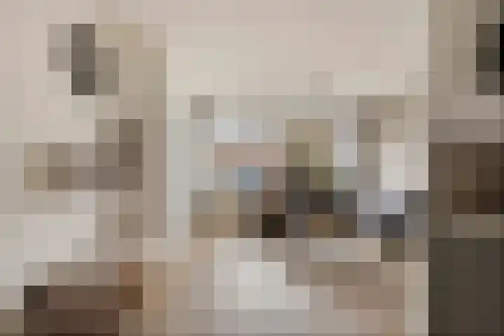 Boekweitstrjitte 60 Harkema thumbnail 13