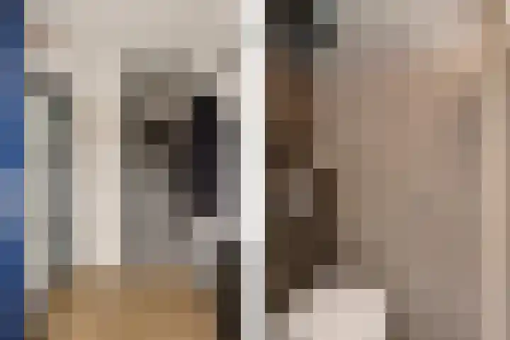 Boekweitstrjitte 60 Harkema thumbnail 14