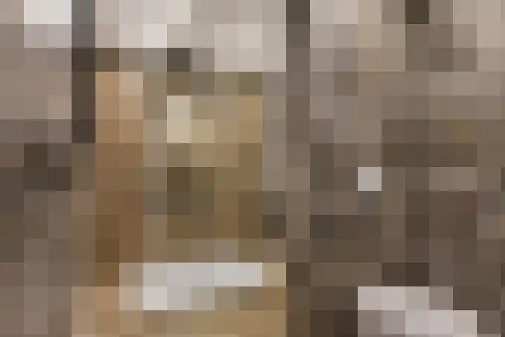 Boekweitstrjitte 60 Harkema thumbnail 19