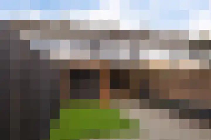 Boekweitstrjitte 60 Harkema thumbnail 33