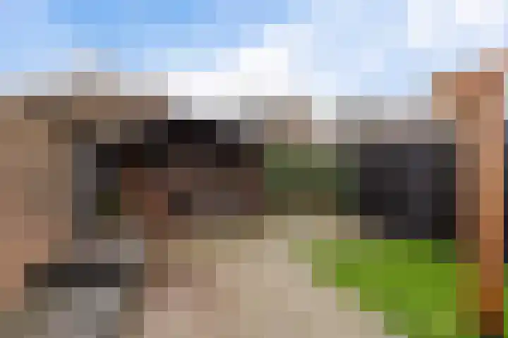Boekweitstrjitte 60 Harkema thumbnail 34