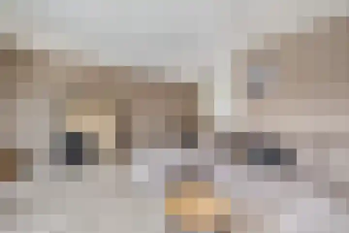 Boekweitveld 10 Assen thumbnail 14