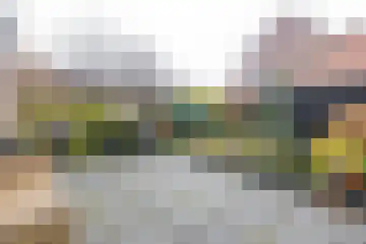 Boekweitveld 10 Assen thumbnail 29