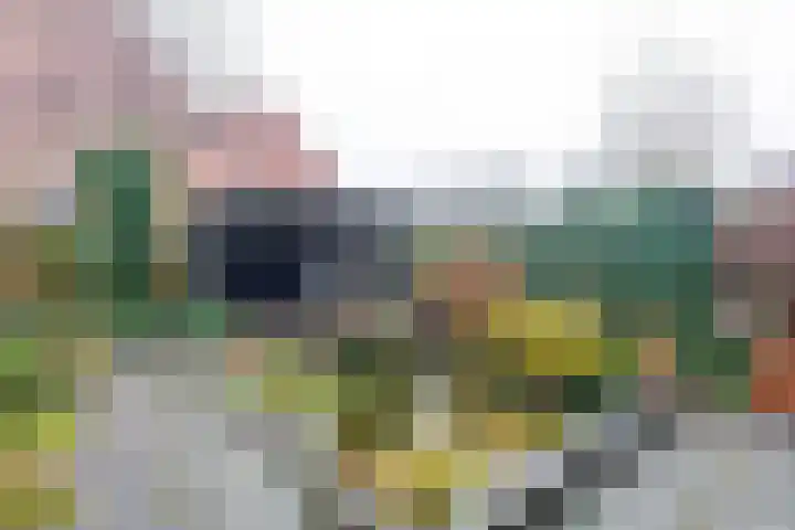 Boekweitveld 10 Assen thumbnail 30