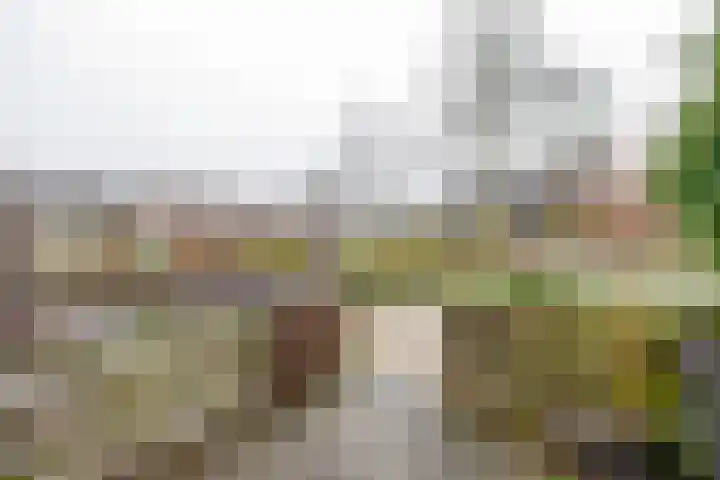 Boekweitveld 10 Assen thumbnail 36