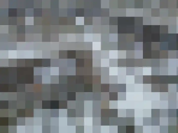 Boekweitveld 10 Assen thumbnail 38