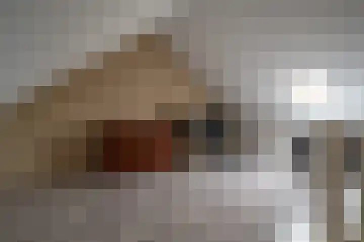 Boekweitveld 16 Staphorst thumbnail 24