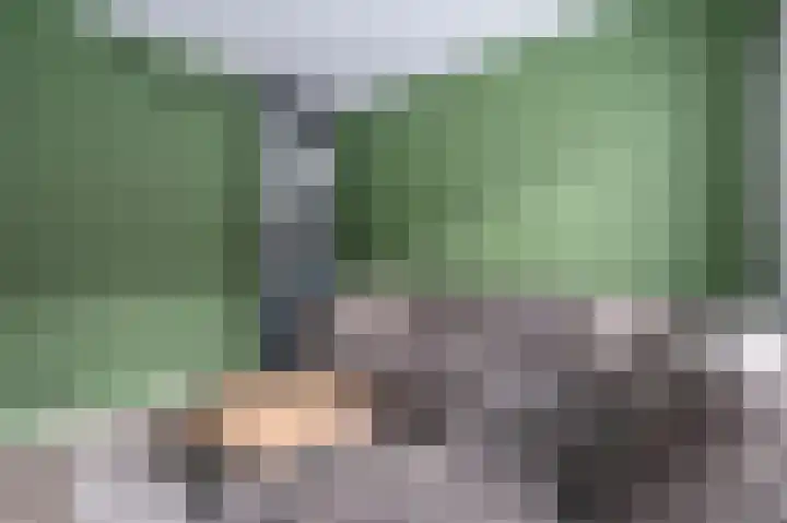 Boekweitveld 16 Staphorst thumbnail 7