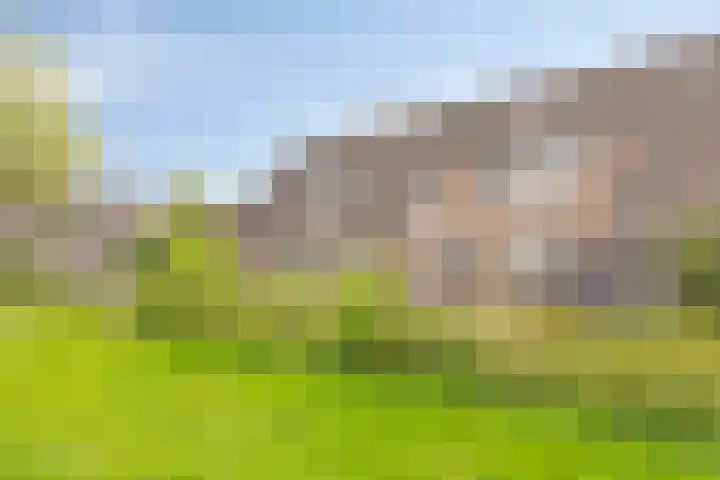 Boekweitveld 6 Assen thumbnail 27