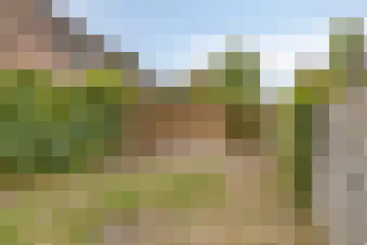 Boekweitveld 6 Assen thumbnail 34