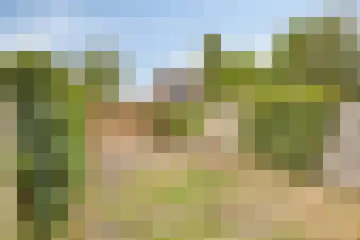 Boekweitveld 6 Assen thumbnail 35
