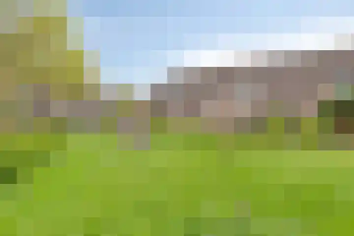 Boekweitveld 6 Assen thumbnail 37
