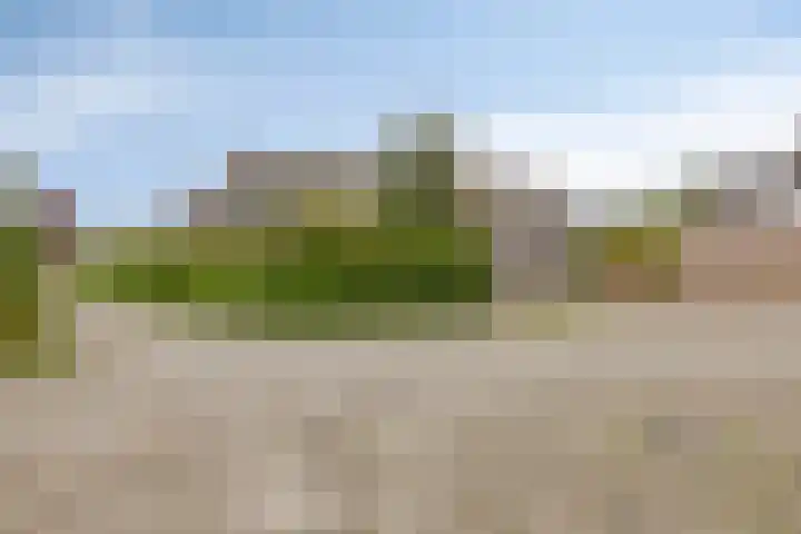 Boekweitveld 6 Assen thumbnail 40