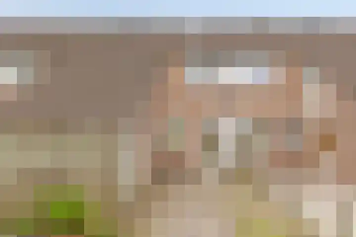 Boekweitveld 6 Assen thumbnail 44
