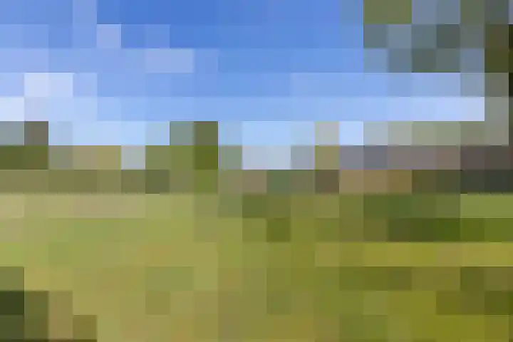 Boelekade 211 Gouda thumbnail 15