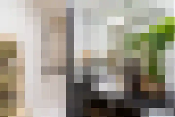 Boelekade 211 Gouda thumbnail 18