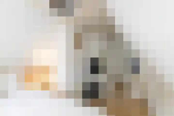 Boelekade 211 Gouda thumbnail 23