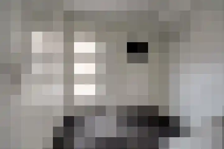 Boelekade 211 Gouda thumbnail 24