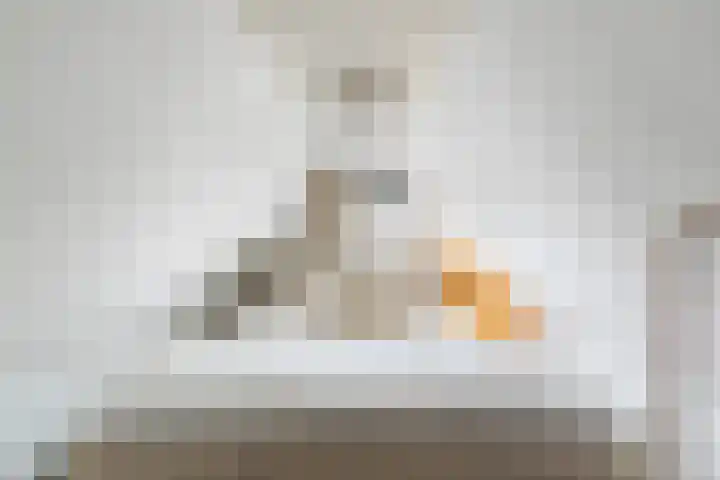 Boelekade 211 Gouda thumbnail 25