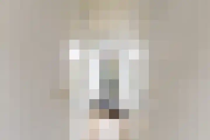Boelekade 211 Gouda thumbnail 27