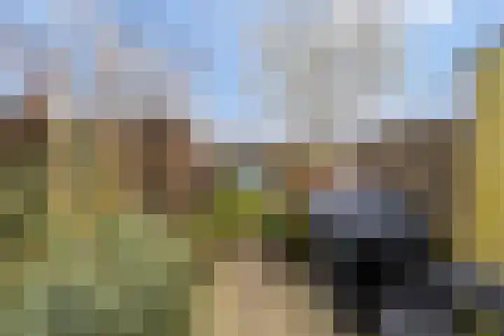 Boelekade 211 Gouda thumbnail 28