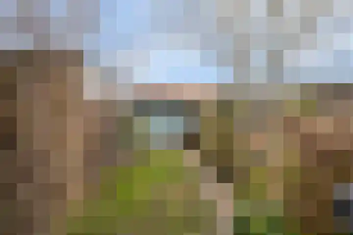 Boelekade 211 Gouda thumbnail 29