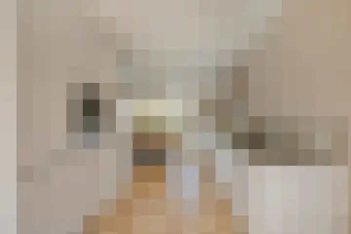 Boelekade 211 Gouda thumbnail 8