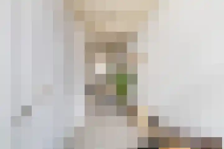 Boelekade 211 Gouda thumbnail 9