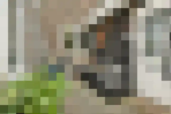 Boelekade 41 Gouda thumbnail 24