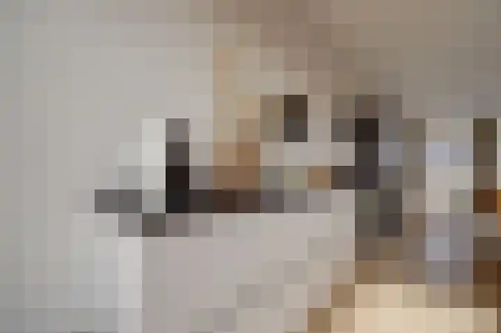 Boelekade 48 a Gouda thumbnail 16