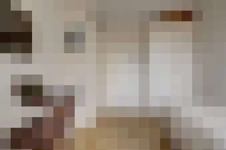 Boelekade 48 a Gouda thumbnail 21