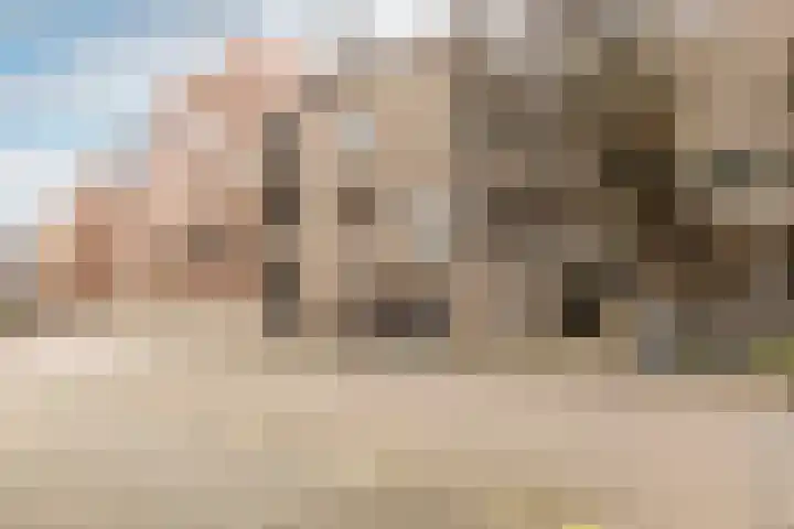 Boelekade 48 a Gouda thumbnail 29