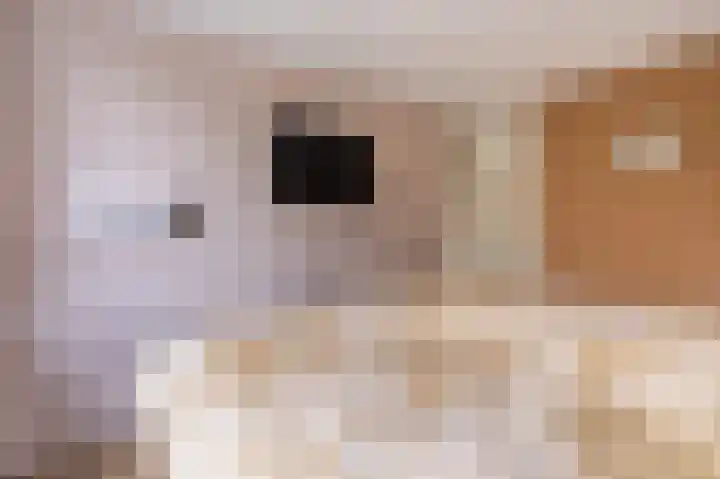 Boelemaheerd 144 Groningen thumbnail 30