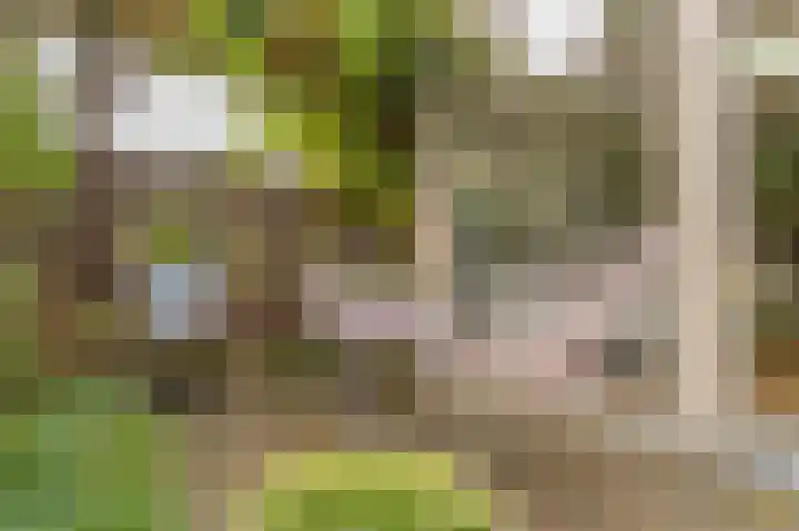 Boelemaheerd 144 Groningen thumbnail 36