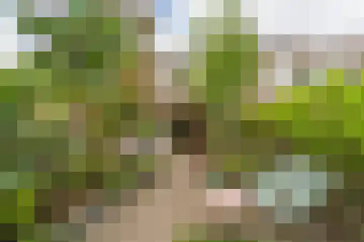Boelemaheerd 144 Groningen thumbnail 40
