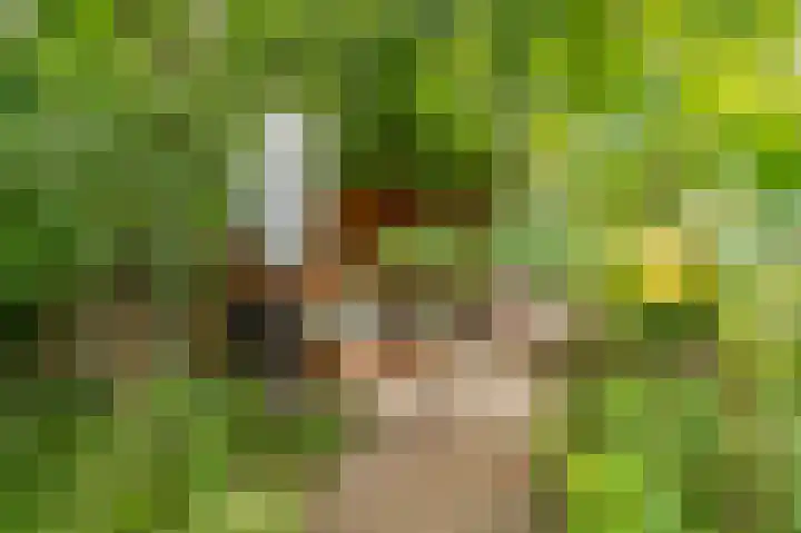 Boelemaheerd 144 Groningen thumbnail 42