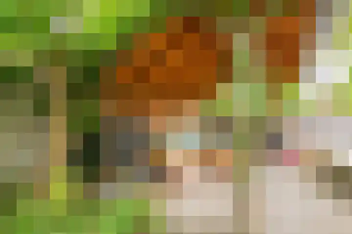Boelemaheerd 144 Groningen thumbnail 43