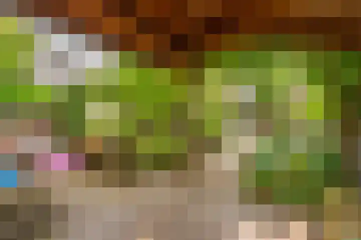 Boelemaheerd 144 Groningen thumbnail 46
